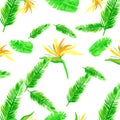Natural Seamless Leaves. Green Pattern Plant. Yellow Tropical Plant. White Spring Palm. Organic Floral Design. Royalty Free Stock Photo