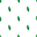 natural seamless pattern background, green leaf vector design