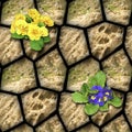 Natural seamless pattern of brown stones with clay and blooming flowers
