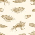 Natural seamless pattern with cobs of sweet corn hand drawn with contour lines on light background. Monochrome backdrop Royalty Free Stock Photo
