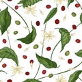 Natural seamless pattern with coffea or coffee tree leaves, blooming flowers, petals and fruits on white background