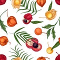 Natural seamless pattern with fresh ripe guarana and physalis fruits and berries on white background. Backdrop with