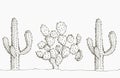 Natural seamless pattern with hand drawn cactus.