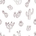 Natural seamless pattern with monochrome hand drawn green cactus on white background. Blooming Mexican desert plants