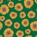 Natural seamless pattern with random yellow contoured sunflower elements. Green background