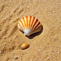 The natural of seashells on a beach creates an exotic The tropical weather and of nature make for a perfect vacation Royalty Free Stock Photo