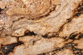 Natural Sedna granite background, beautiful texture for individual design work.