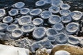 natural semi frozen discs of foam floating on water