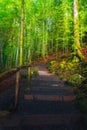 Natural setting of Giessbach Falls, east of Lake Brienz in the Bernese Oberland in Switzerland Royalty Free Stock Photo