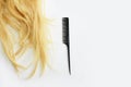 Natural shaggy crumpled yellow blonde curl and a black comb