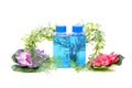 Natural shampoo bottles Royalty Free Stock Photo