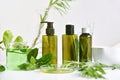 Natural skin care beauty products, Natural organic botany extraction and scientific glassware. Royalty Free Stock Photo