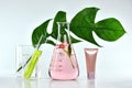 Natural skin care beauty products, Natural organic botany extraction and scientific glassware Royalty Free Stock Photo