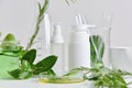 Natural skin care beauty products, Natural organic botany extraction and scientific glassware. Royalty Free Stock Photo