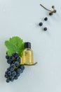 Natural skin care products with grape extracts . Healthy organic remedy Royalty Free Stock Photo