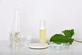 Natural skincare beauty products researching lab, Natural organic botany extraction and scientific laboratory glassware Royalty Free Stock Photo