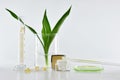 Natural Skincare, Organic Plant Extract Pharmaceutical Cosmetics, Equipment And Science Experiments