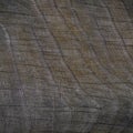 Natural slice of wood to a gray color background or texture