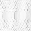 Natural snake skin as a background. white snakeskin texture