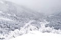 Natural snow hill and tree in Japan Yatsugatake mountains