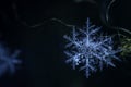 Natural snowflake close-up. Winter, cold. Christmas. Royalty Free Stock Photo