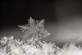 Natural snowflake close-up. Winter, cold. Royalty Free Stock Photo