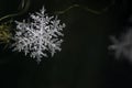 Natural snowflake close-up. Winter, cold. Royalty Free Stock Photo