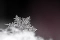 Natural snowflake close-up. Winter, cold. Royalty Free Stock Photo