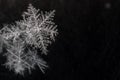 Natural snowflake close-up. Winter, cold. Royalty Free Stock Photo