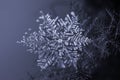 Natural snowflake crystal on dark background