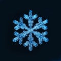 Natural snowflake macro naturals Royalty Free Stock Photo