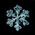 Natural snowflake macro naturals Royalty Free Stock Photo