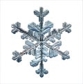 Natural snowflake macro naturals Royalty Free Stock Photo