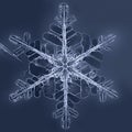 Natural winter Snowflake