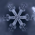 Natural winter Snowflake