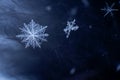 natural snowflakes on snow photo real snowflakes. Winter snow background. Snowflake Closeup. Macro photo. Copy space Royalty Free Stock Photo