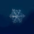 natural snowflakes on snow, photo real snowflakes. Winter snow background. Snowflake Closeup. Macro photo. Copy space Royalty Free Stock Photo
