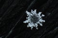 natural snowflakes on snow, photo real snowflakes. Winter snow background. Snowflake Closeup. Macro photo. Copy space Royalty Free Stock Photo