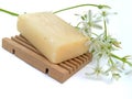 Natural soap with flowers of a poultry cage Royalty Free Stock Photo