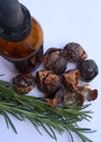 Natural Soap Nuts with Rosemary and Bottle Royalty Free Stock Photo