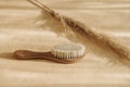 Natural soft goat bristle hair and pampas grass on beige background. Zero waste, eco friendly cosmetics concept. Vintage color fil