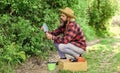 natural soil. Spring garden concept. Gardeners hands plant flowers in backyard. Gardener planting flowers in dirt soil Royalty Free Stock Photo