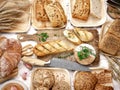 Natural sourdough bread and various types of traditional Polish rolls. Royalty Free Stock Photo