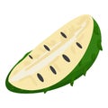 Natural soursop icon cartoon vector. Tree juice