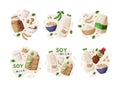 Natural Soy Products from Soybean Plant with Meat, Sauce, Tofu and Milk Vector Composition Set Royalty Free Stock Photo