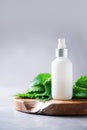 Natural spa, herbal cosmetics. Nettle lotion, cream, shampoo or soap in white bottle and fresh nettles leaves on grey background.