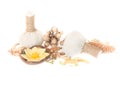 Natural Spa Ingredients . The herbal compress ball and ingredients for spa treatment. Royalty Free Stock Photo