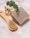 Natural Spa Set for Face and Body Bath Exfoliate with Natural Handmade Brown Rice Soap and Wooden Face Brush on Gray Background
