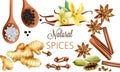 Natural spices composition with salt, black pepper, ginger, cinnamon sticks and vanilla