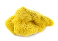 Natural sponge